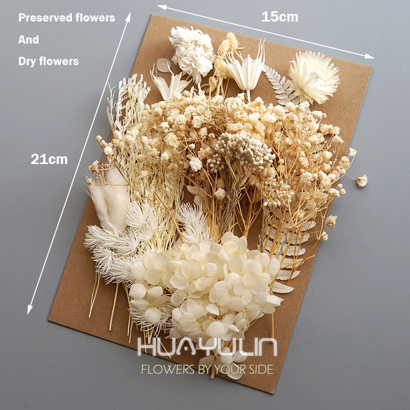 1 Pack Artificial Plants Dried - огляд і ціна Candle Making Experience